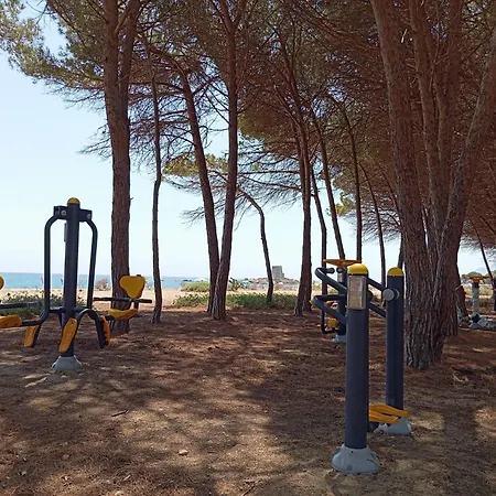 Daire Due Passi Dal Mare *